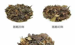 白茶原料是什么茶树